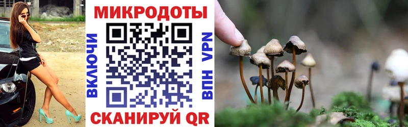 Псилоцибиновые грибы Psilocybe  Дудинка 